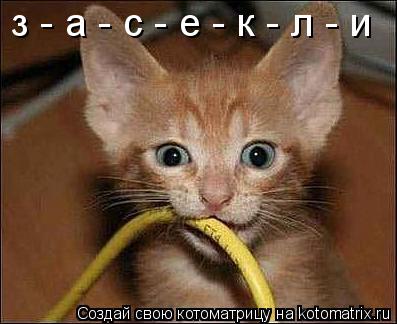 з - а - с - е - к - л - и... Котоматрица: з - а - с - е - к - л - и