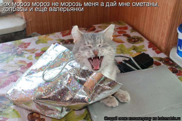 эх мороз мороз не морозь меня а дай мне сметаны, колбасы и ещё валерьянки... Котоматрица: эх мороз мороз не морозь меня а дай мне сметаны, колбасы и ещё валерьянки