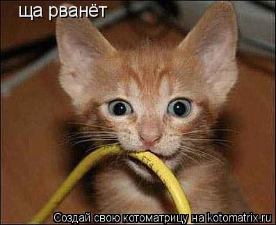 ща рванёт... Котоматрица: ща рванёт