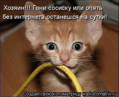 Хозяин!!! Гони сосиску или опять без интернета останешся на сутки!... Котоматрица: Хозяин!!! Гони сосиску или опять без интернета останешся на сутки!