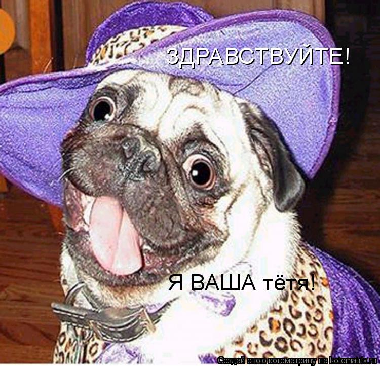 ЗДРАВСТВУЙТЕ! Я ВАША тётя!... Котоматрица: ЗДРАВСТВУЙТЕ! Я ВАША тётя!