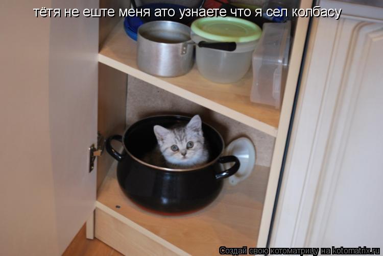 тётя не еште меня ато узнаете что я сел колбасу... Котоматрица: тётя не еште меня ато узнаете что я сел колбасу