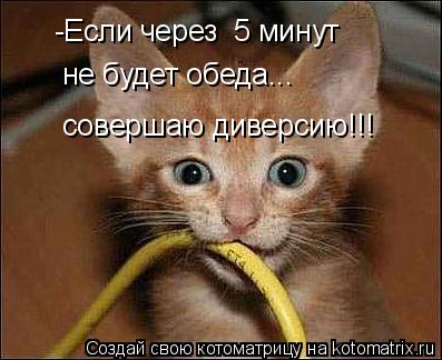 -Если через 5 минут не будет обеда... совершаю диверсию!!!... Котоматрица: -Если через 5 минут не будет обеда... совершаю диверсию!!!