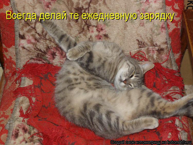 Всегда делай те ежедневную зарядку... Котоматрица: Всегда делай те ежедневную зарядку
