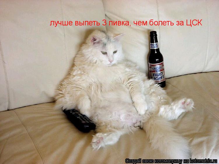 лучше выпеть 3 пивка, чем болеть за ЦСК... Котоматрица: лучше выпеть 3 пивка, чем болеть за ЦСК