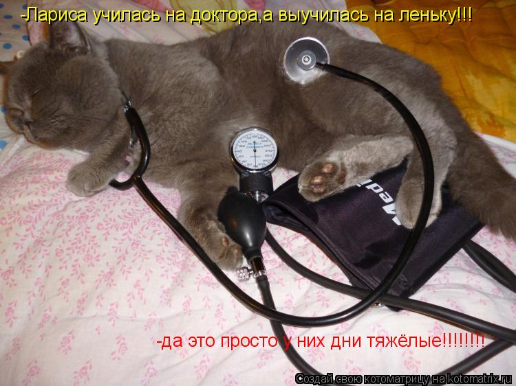 -Лариса училась на доктора,а выучилась на леньку!!! -да это просто у них дни тяжёлые!!!!!!!!... Котоматрица: -Лариса училась на доктора,а выучилась на леньку!!! -да это просто у них дни тяжёлые!!!!!!!!