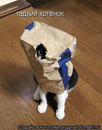 гадкий котёнок гадкий котёнок... Котоматрица: гадкий котёнок гадкий котёнок