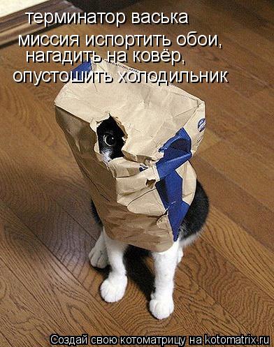 терминатор васька миссия испортить обои, нагадить на ковёр, опустошить холодильник... Котоматрица: терминатор васька миссия испортить обои, нагадить на ковёр, опустошить холодильник