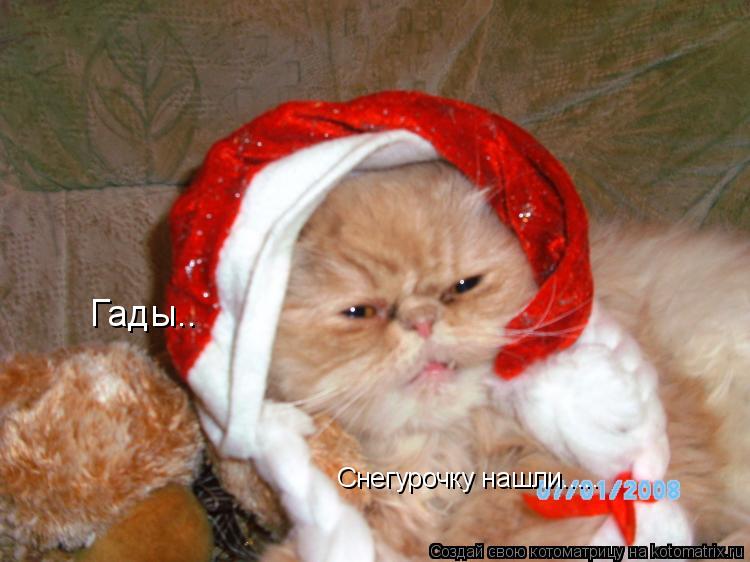 Гады.. Снегурочку нашли........ Котоматрица: Гады.. Снегурочку нашли.....