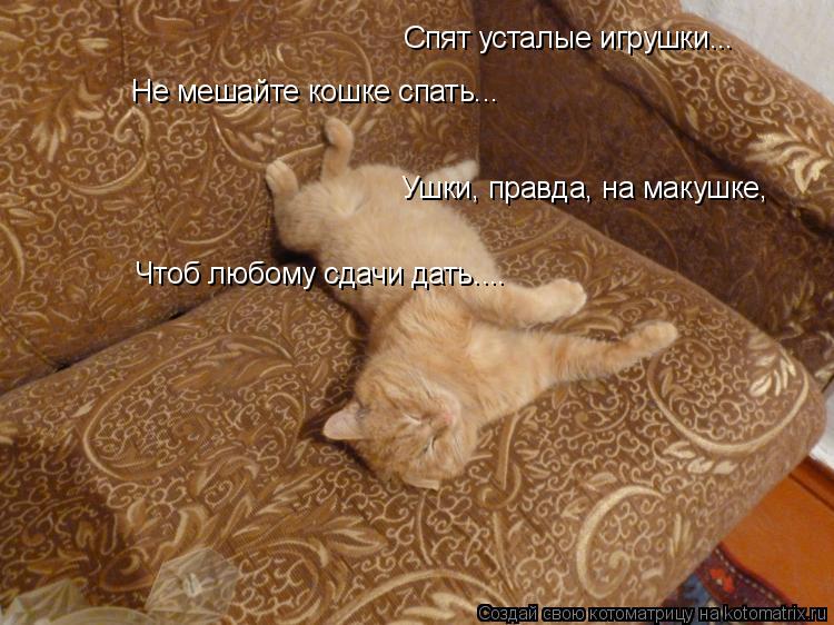 Спят усталые игрушки... Не мешайте кошке спать... Ушки, правда, на макушке, Чтоб любому сдачи дать..... Котоматрица: Спят усталые игрушки... Не мешайте кошке спать... Ушки, правда, на макушке, Чтоб любому сдачи дать....