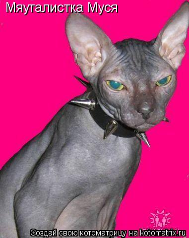 Мяуталистка Муся... Котоматрица: Мяуталистка Муся
