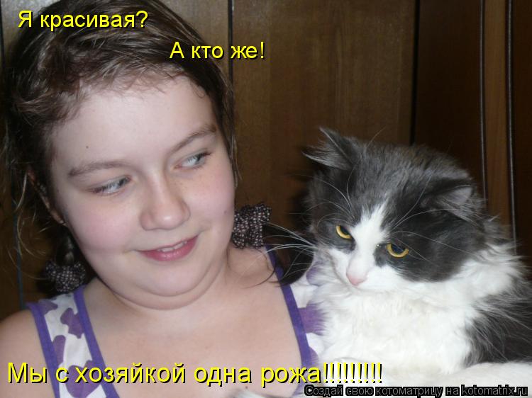 Мы с хозяйкой одна рожа!!!!!!!!! Я красивая? А кто же!... Котоматрица: Мы с хозяйкой одна рожа!!!!!!!!! Я красивая? А кто же!