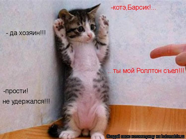 Котоматрица: -котэ,Барсик!...  ...ты мой Роллтон съел!!! - да хозяин!!! -прости! не удержался!!!