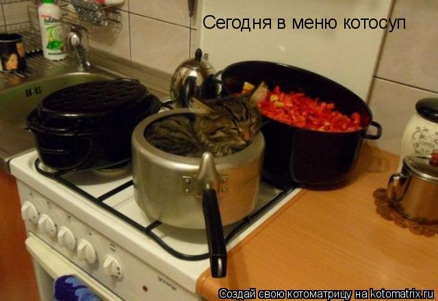 Котоматрица: Сегодня в меню котосуп