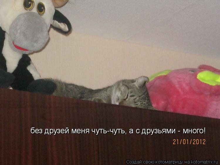 Котоматрица: без друзей меня чуть-чуть, а с друзьями - много!