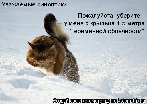 Котоматрица: Уважаемые синоптики! Пожалуйста, уберите у меня с крыльца 1.5 метра "переменной облачности"