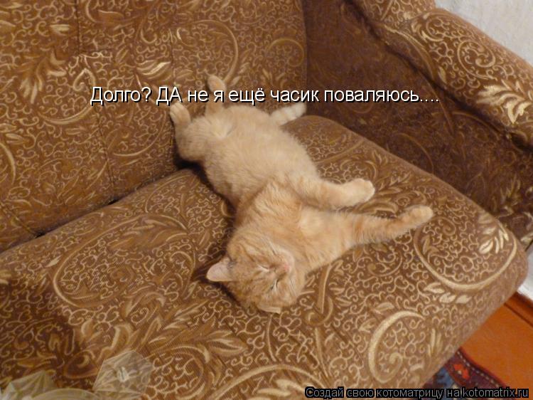 Котоматрица: Долго? ДА не я ещё часик поваляюсь....