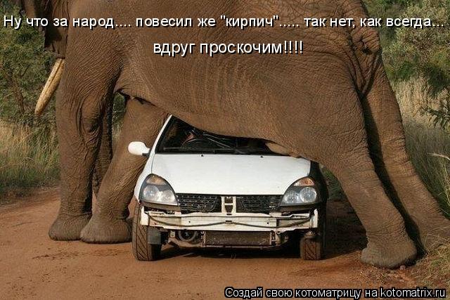 Котоматрица: Ну что за народ.... повесил же "кирпич"..... так нет, как всегда... вдруг проскочим!!!!