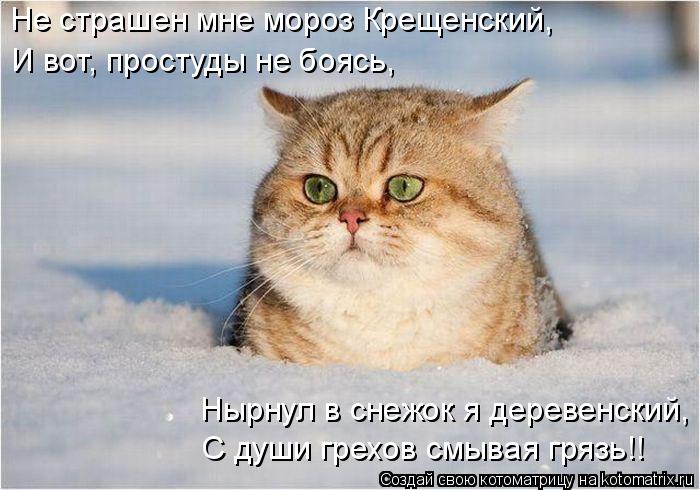 Котоматрица: Нырнул в снежок я деревенский, С души грехов смывая грязь!! Не страшен мне мороз Крещенский, И вот, простуды не боясь,