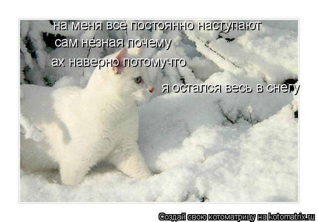Котоматрица: на меня все постоянно наступают сам незная почему ах наверно потомучто я остался весь в снегу