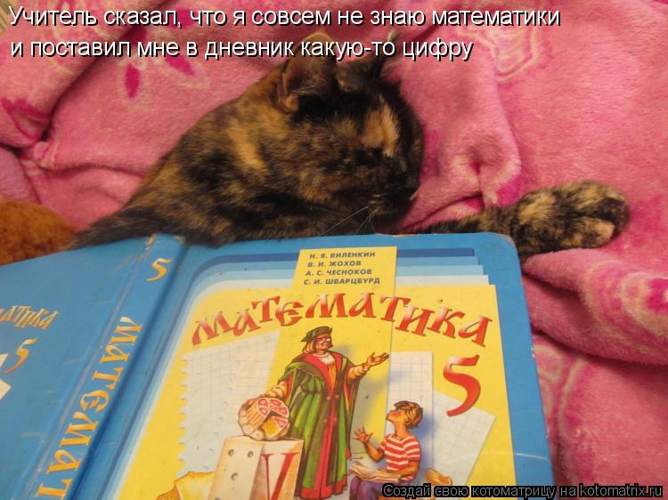 Котоматрица: Учитель сказал, что я совсем не знаю математики и поставил мне в дневник какую-то цифру