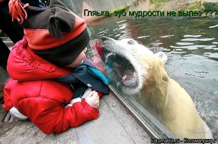 Котоматрица: Гляька, зуб мудрости не вылез ???