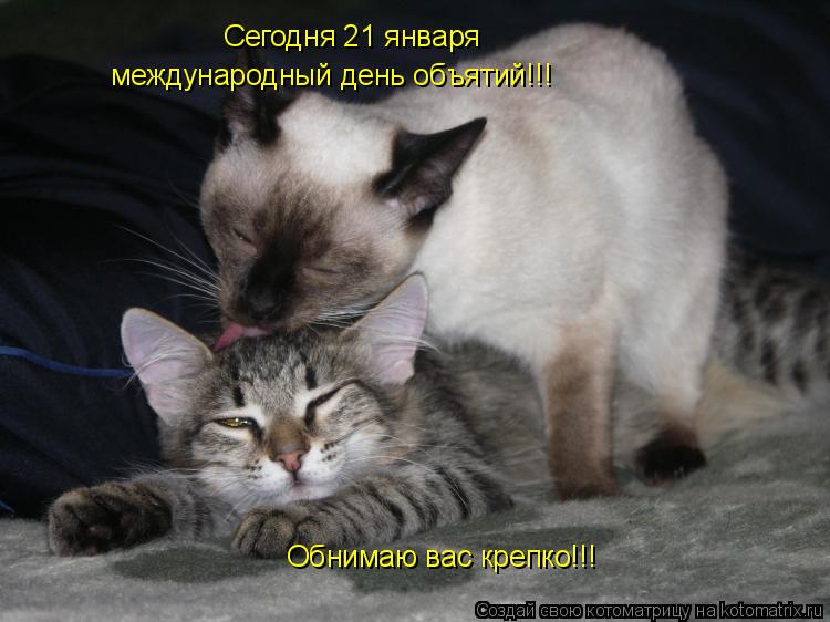 Котоматрица: Сегодня 21 января международный день объятий!!! Обнимаю вас крепко!!!
