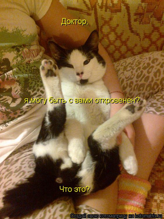 Котоматрица: Доктор, я могу быть с вами откровенен? Что это?
