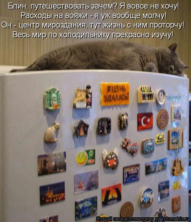Блин, путешествовать зачем? Я вовсе не хочу! Расходы на вояжи - я уж вообще молчу! Весь мир по холоди... Котоматрица: Блин, путешествовать зачем? Я вовсе не хочу! Расходы на вояжи - я уж вообще молчу! Весь мир по холодильнику прекрасно изучу! Он - центр мирозда