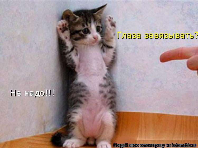 Котоматрица: Глаза завязывать? Не надо!!!