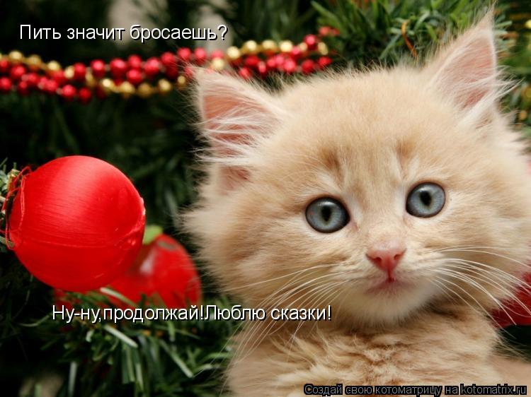 Котоматрица: Пить значит бросаешь? Ну-ну,продолжай!Люблю сказки!