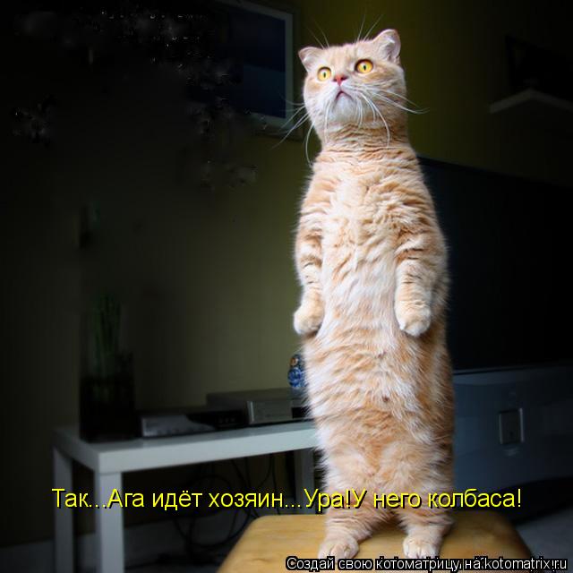 Котоматрица: Так...Ага идёт хозяин...Ура!У него колбаса!