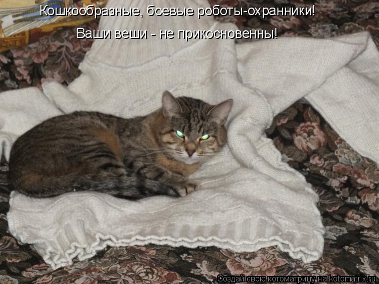 Котоматрица: Кошкообразные, боевые роботы-охранники!  Ваши веши - не прикосновенны!