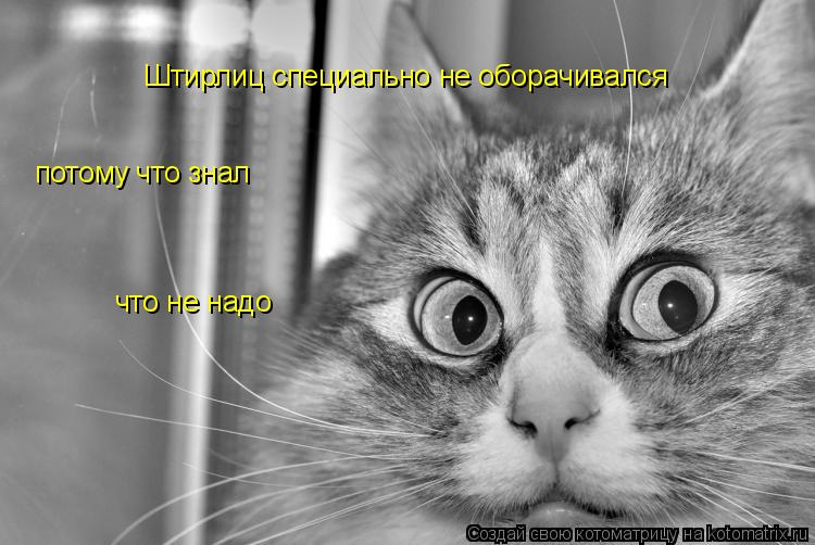 Котоматрица: Штирлиц специально не оборачивался потому что знал  что не надо
