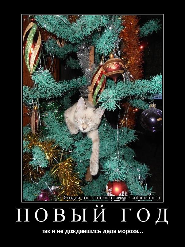 Котоматрица: новый год так и не дождавшись деда мороза...