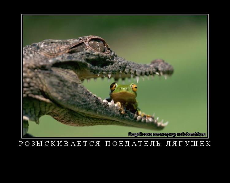 Котоматрица: розыскивается поедатель лягушек 