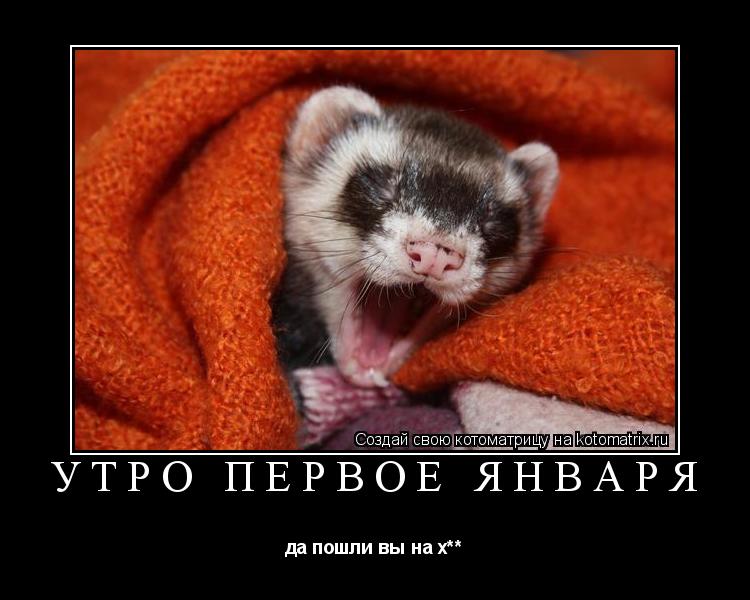 утро первое января да пошли вы на х**... Котоматрица: утро первое января да пошли вы на х**