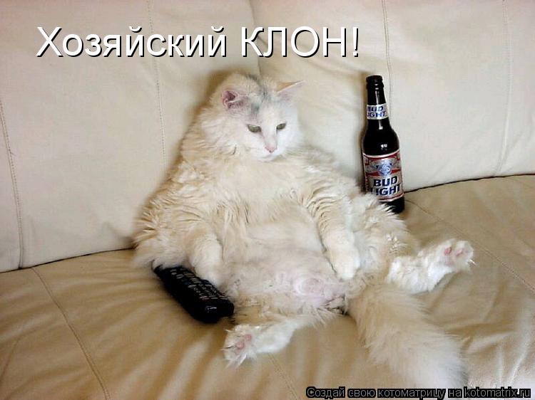 Котоматрица: Хозяйский КЛОН!