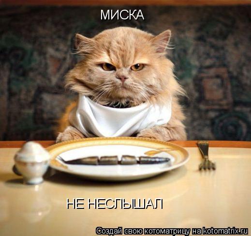Котоматрица: МИСКА НЕ НЕСЛЫШАЛ