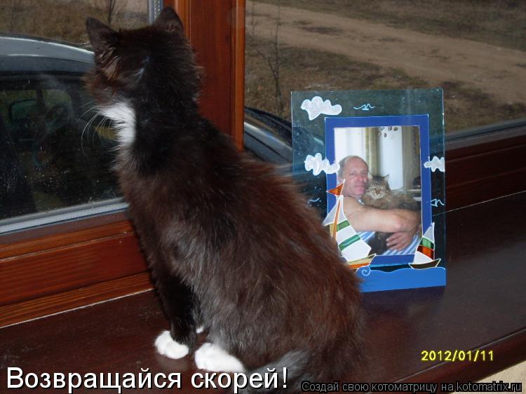 Котоматрица: Возвращайся скорей!