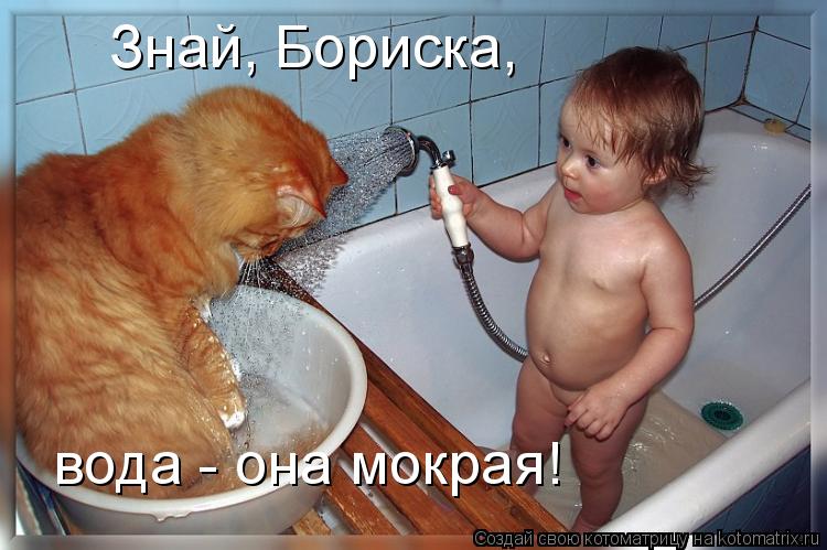 Котоматрица: Знай, Бориска, вода - она мокрая!