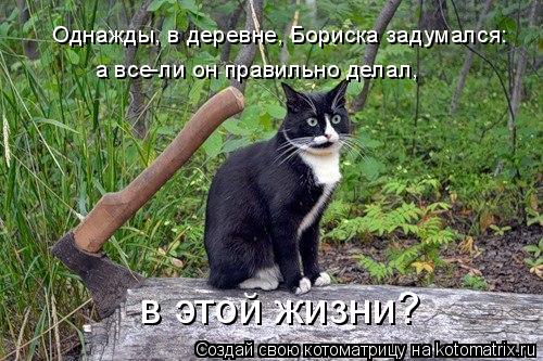 Котоматрица: Однажды, в деревне, Бориска задумался: а все-ли он правильно делал, в этой жизни?