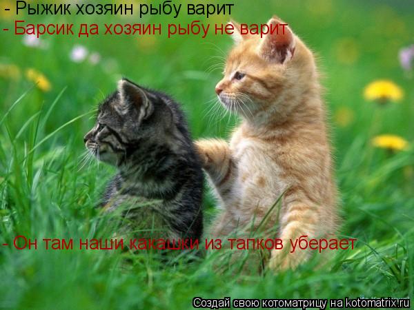 Котоматрица: - Рыжик хозяин рыбу варит  - Барсик да хозяин рыбу не варит  - Он там наши какашки из тапков уберает