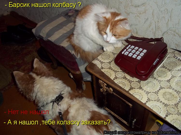 Котоматрица: - Барсик нашол колбасу ?  - Нет не нашол  - А я нашол ,тебе коласку заказать?