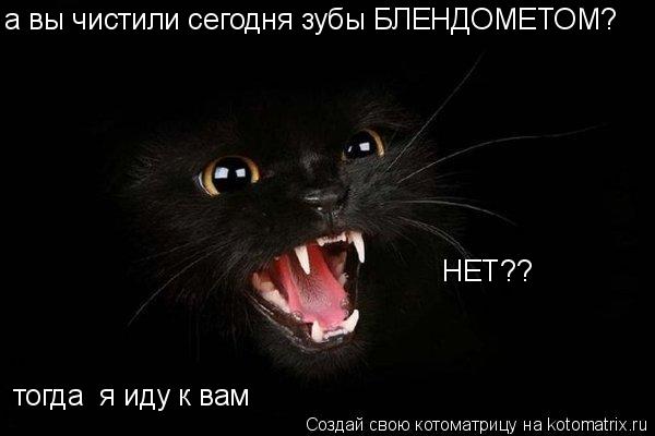 Котоматрица: а вы чистили сегодня зубы БЛЕНДОМЕТОМ? НЕТ?? тогда  я иду к вам