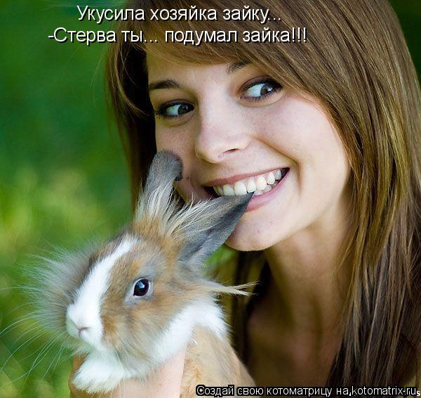 Котоматрица: Укусила хозяйка зайку... -Стерва ты... подумал зайка!!!