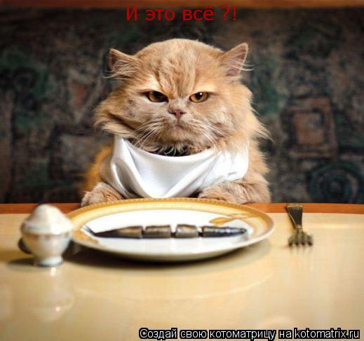 И это всё ?!... Котоматрица: И это всё ?!