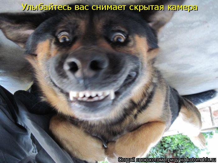 Улыбайтесь вас снимает скрытая камера... Котоматрица: Улыбайтесь вас снимает скрытая камера