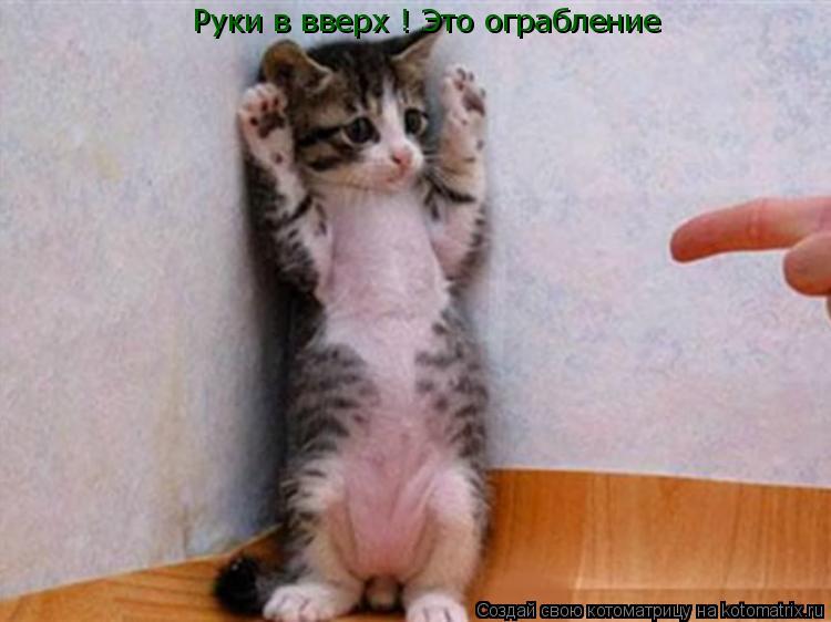 Руки в вверх ! Это ограбление... Котоматрица: Руки в вверх ! Это ограбление