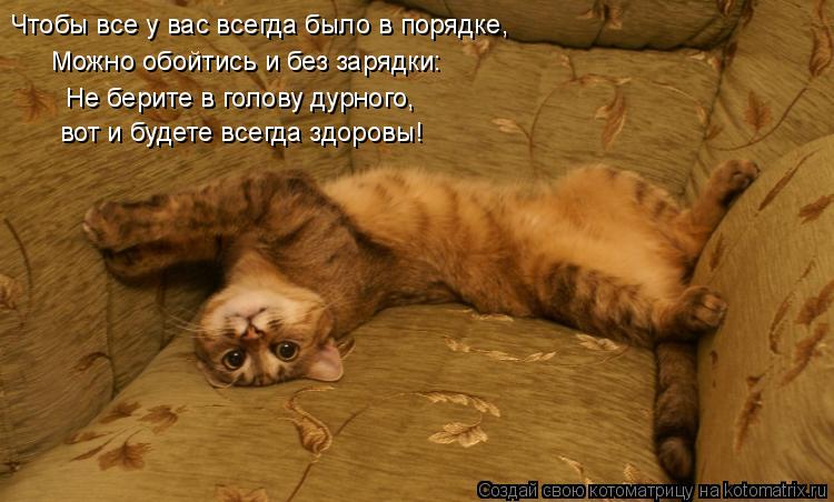 вот и будете всегда здоровы! Чтобы все у вас всегда было в порядке, Можно обойтись и без зарядки: Не ... Котоматрица: вот и будете всегда здоровы! Чтобы все у вас всегда было в порядке, Можно обойтись и без зарядки: Не берите в голову дурного,